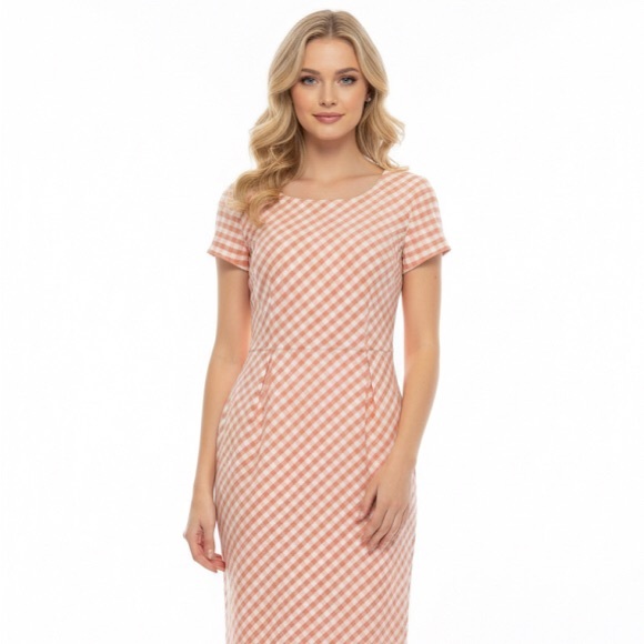 Brooks Brothers Dresses & Skirts - Brooks Brothers Pink Gingham Midi Dress size 6